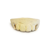 Grillz Godz
