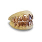 14k Solid Gold grillz choice of 8 top & 8 Bottom teeth - GrillzGodz